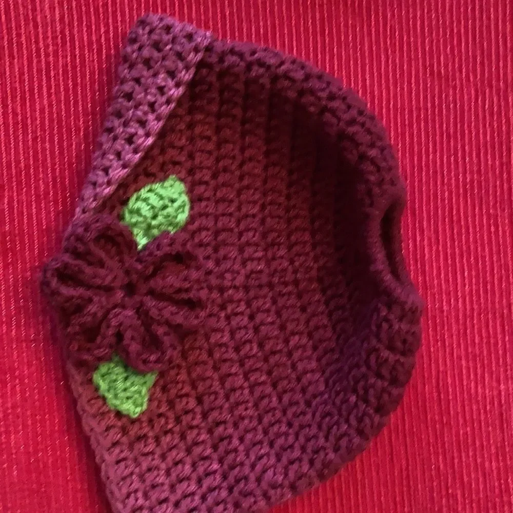 NWT Angela’s Designs hand crocheted ponytail hat beautiful variegated raspberry